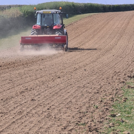 Ploughing the conservation area ready for seeds